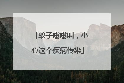 蚊子嗡嗡叫，小心这个疾病传染