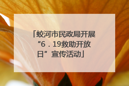 蛟河市民政局开展“6．19救助开放日”宣传活动