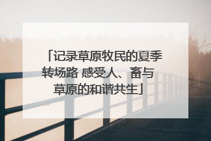 记录草原牧民的夏季转场路 感受人、畜与草原的和谐共生