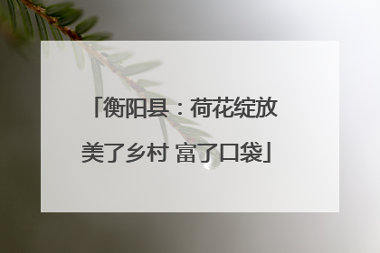 衡阳县：荷花绽放 美了乡村 富了口袋