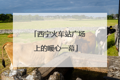 西宁火车站广场上的暖心一幕