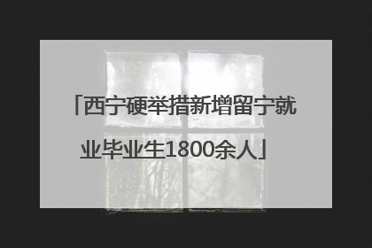 西宁硬举措新增留宁就业毕业生1800余人