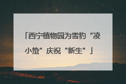 西宁植物园为雪豹“凌小蛰”庆祝“新生”