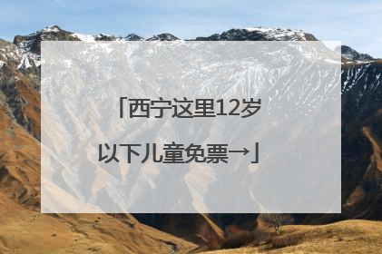 西宁这里12岁以下儿童免票→