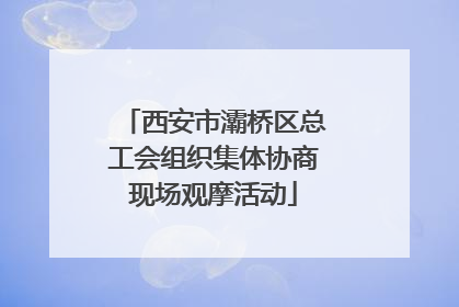 西安市灞桥区总工会组织集体协商现场观摩活动