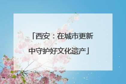 西安：在城市更新中守护好文化遗产