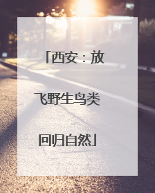 西安：放飞野生鸟类回归自然