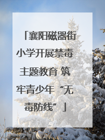 襄阳磁器街小学开展禁毒主题教育 筑牢青少年“无毒防线”