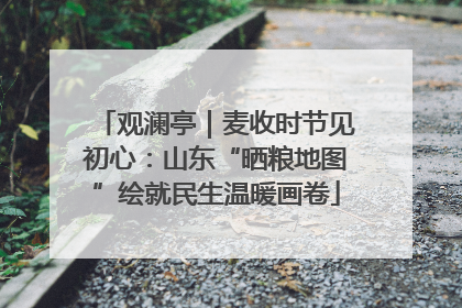 观澜亭｜麦收时节见初心：山东“晒粮地图”绘就民生温暖画卷