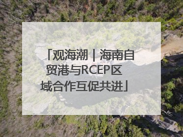 观海潮｜海南自贸港与RCEP区域合作互促共进