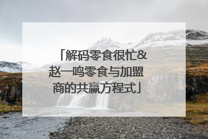 解码零食很忙&赵一鸣零食与加盟商的共赢方程式