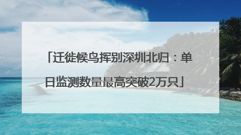 迁徙候鸟挥别深圳北归：单日监测数量最高突破2万只