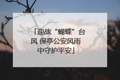 迎战“蝴蝶”台风 保亭公安风雨中守护平安