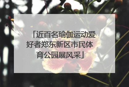 近百名瑜伽运动爱好者郑东新区市民体育公园展风采