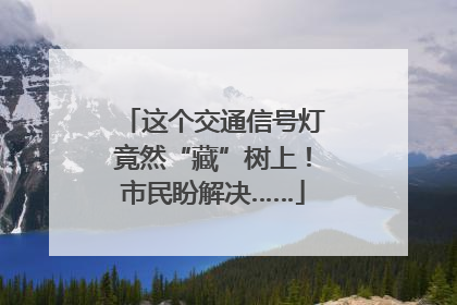 这个交通信号灯竟然“藏”树上！市民盼解决……