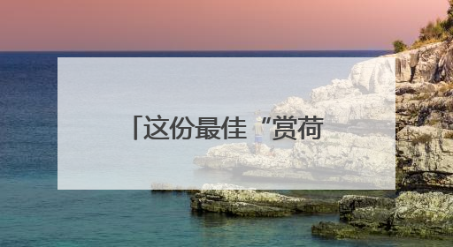 这份最佳“赏荷图”，请收好！