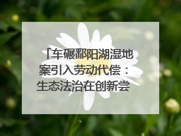 车碾鄱阳湖湿地案引入劳动代偿：生态法治在创新尝试｜有一说一