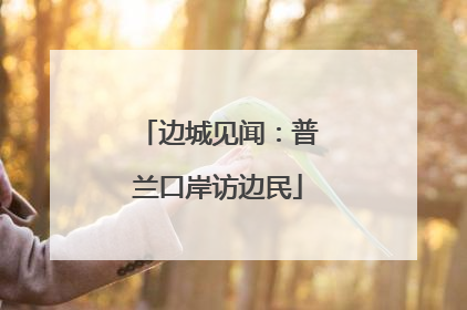 边城见闻：普兰口岸访边民