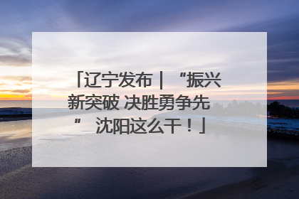 辽宁发布｜“振兴新突破 决胜勇争先” 沈阳这么干！