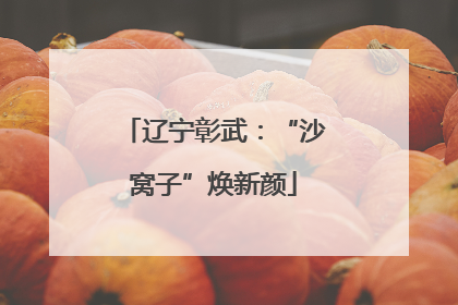 辽宁彰武：“沙窝子”焕新颜
