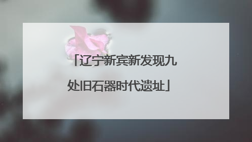 辽宁新宾新发现九处旧石器时代遗址