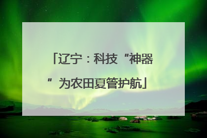 辽宁：科技“神器”为农田夏管护航