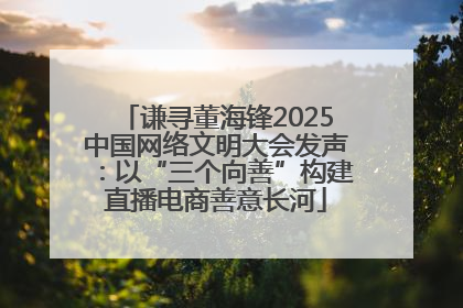 谦寻董海锋2025中国网络文明大会发声：以“三个向善”构建直播电商善意长河