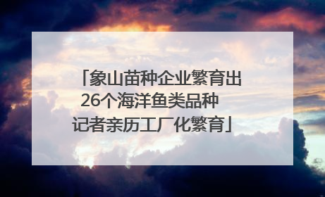 象山苗种企业繁育出26个海洋鱼类品种 记者亲历工厂化繁育