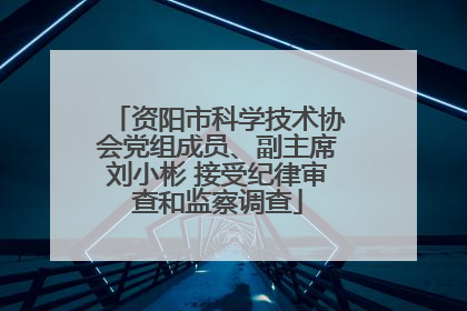 资阳市科学技术协会党组成员、副主席刘小彬 接受纪律审查和监察调查