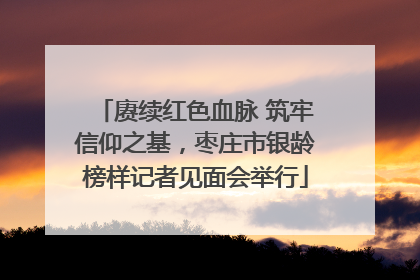 赓续红色血脉 筑牢信仰之基，枣庄市银龄榜样记者见面会举行