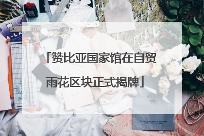 赞比亚国家馆在自贸雨花区块正式揭牌