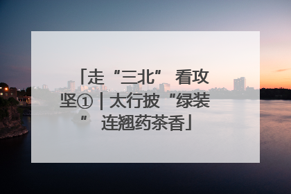 走“三北” 看攻坚①｜太行披“绿装” 连翘药茶香