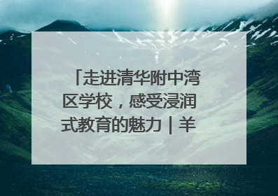 走进清华附中湾区学校，感受浸润式教育的魅力｜羊城名校行