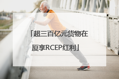 超三百亿元货物在厦享RCEP红利