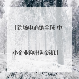 跨境电商链全球 中小企业迎出海新机