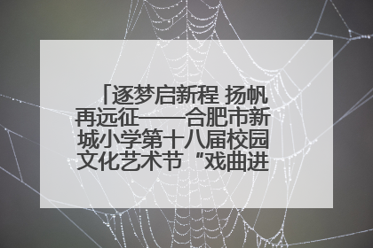逐梦启新程 扬帆再远征——合肥市新城小学第十八届校园文化艺术节“戏曲进校园专场演出”
