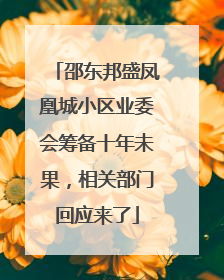 邵东邦盛凤凰城小区业委会筹备十年未果，相关部门回应来了