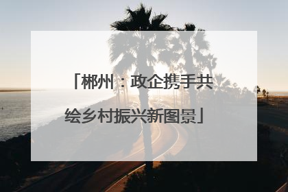 郴州：政企携手共绘乡村振兴新图景