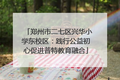 郑州市二七区兴华小学东校区：践行公益初心促进普特教育融合