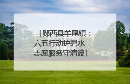 郧西县羊尾镇：六五行动护碧水 志愿服务守清波
