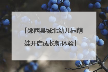 郧西县城北幼儿园萌娃开启成长新体验