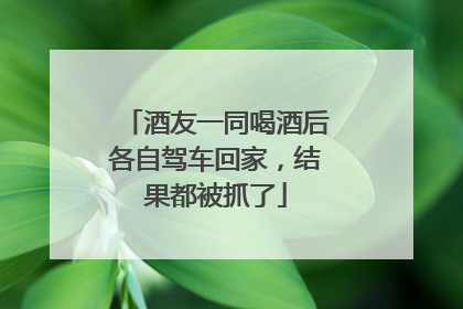酒友一同喝酒后各自驾车回家，结果都被抓了
