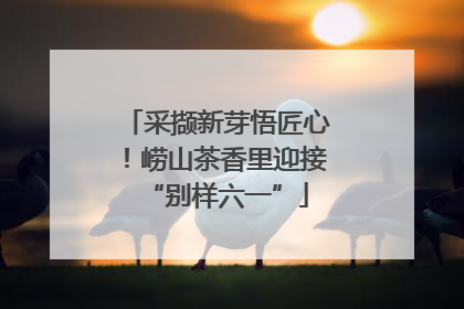 采撷新芽悟匠心！崂山茶香里迎接“别样六一”
