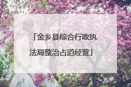 金乡县综合行政执法局整治占道经营