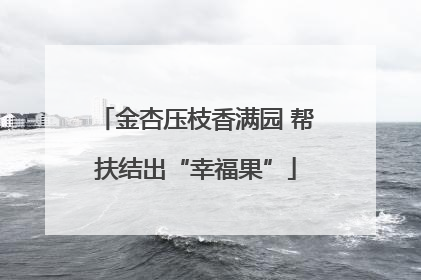 金杏压枝香满园 帮扶结出“幸福果”