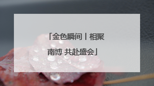 金色瞬间丨相聚南博 共赴盛会