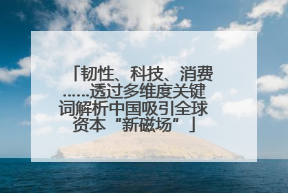 韧性、科技、消费……透过多维度关键词解析中国吸引全球资本“新磁场”