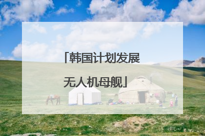 韩国计划发展无人机母舰
