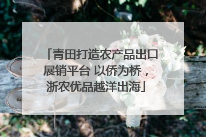 青田打造农产品出口展销平台 以侨为桥，浙农优品越洋出海