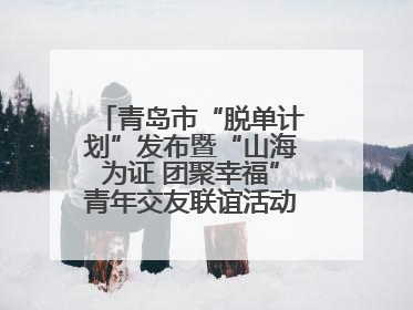 青岛市“脱单计划”发布暨“山海为证 团聚幸福”青年交友联谊活动浪漫开启